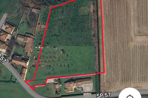 Terreno agricolo Olevano di Lomellina