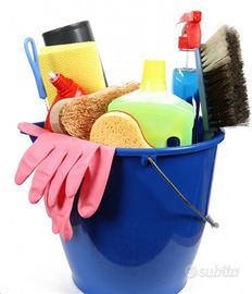 Pulizie domestiche. Accompagno e sostegno anziani