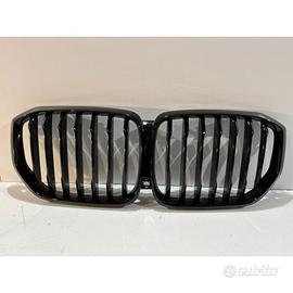 BMW X5 G05 Griglia 14607