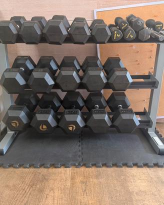 SET MANUBRI PROFESSIONALI DA PALESTRA