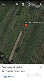 Terreno agricolo