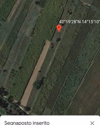Terreno agricolo