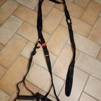 trx dts