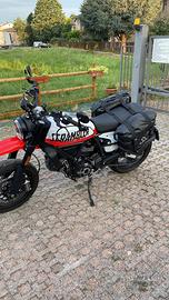 Ducati scrambler 800 Urban Motard A2