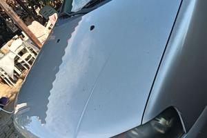 Punto Sporting grigia