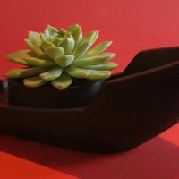 Portavaso decorativo barchetta 