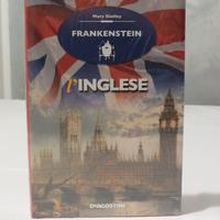 Frankenstein - libro in inglese