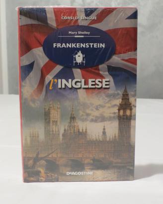Frankenstein - libro in inglese