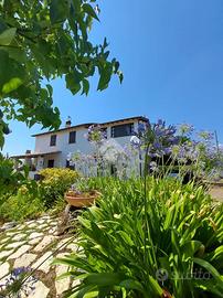 VILLA SINGOLA A VELLETRI