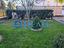 Immagine 19
