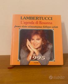 L’agenda di Rosanna 1995 Piemme Vintage