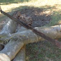 Vecchio Taglialegna a Mano