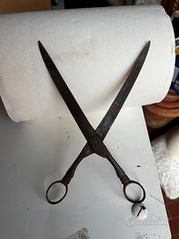 Vecchie forbici da sarto in ferro