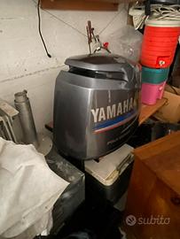 Calandra Yamaha 100 HP