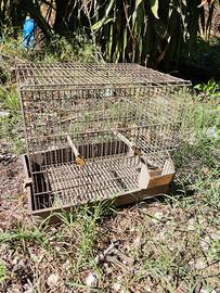 Gabbia per volatili