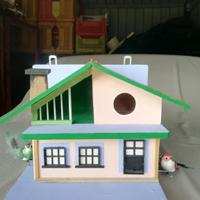 casina uccellini 