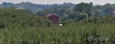 Casetta prefabbricata bungalow con tavernetta