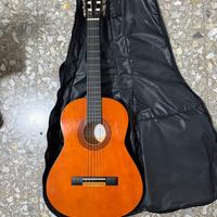Chitarra Eko CS5