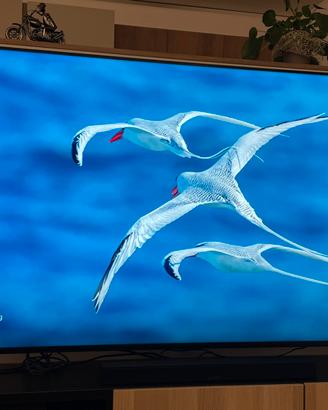 Tv sony 75 pollici