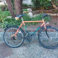 bicicletta mtb perfetta 