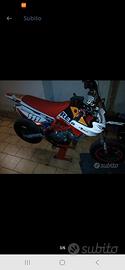 pit bike ayrton 