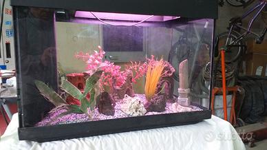 ACQUARIO 60x30x47