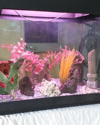 ACQUARIO 60x30x47