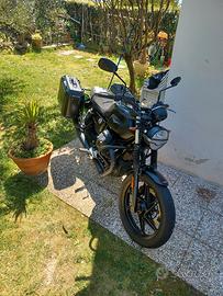 moto guzzi v7 stone