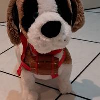 Samby San Bernardo  emotional pets