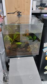 Acquario 60 l