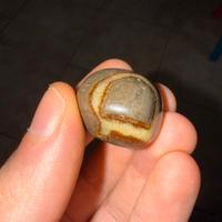 Pietra naturale septaria o uovo del drago