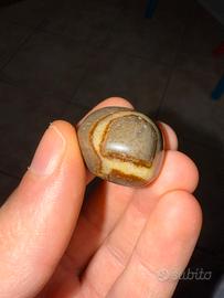 Pietra naturale septaria o uovo del drago