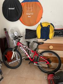 bici eagle