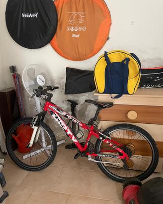 bici eagle
