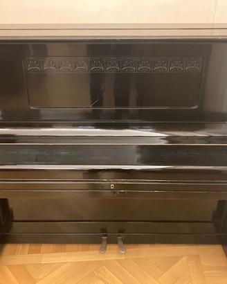 Pianoforte Austriaco Carl Schmitt, Hagen