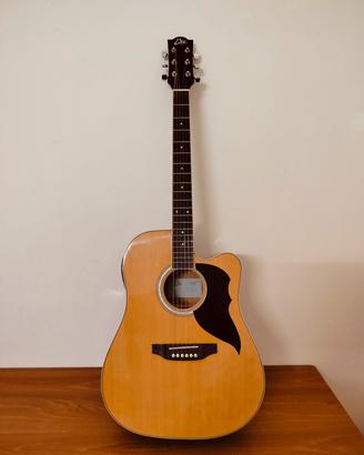 chitarra acustica elettrificata( morbida)