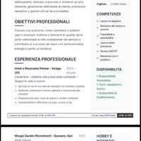 Cameriere - Aiuto cuoco
