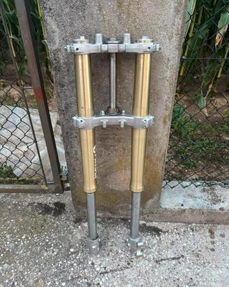 Forcelle e piastre Paioli per HM 50