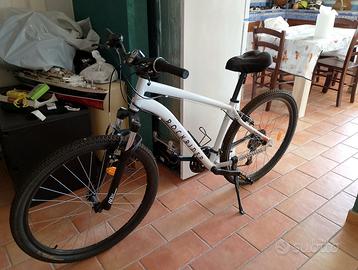 Bici rochrider