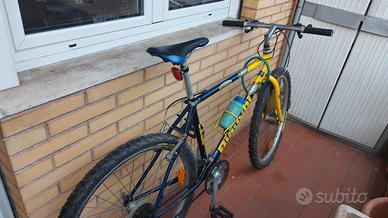 Bicicletta bianchi