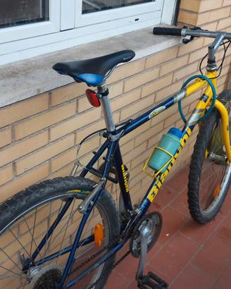 Bicicletta bianchi