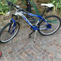 Bici mountain bike size 43