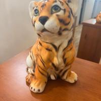 il gattopardo tigrebaby