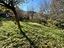 Immagine 13