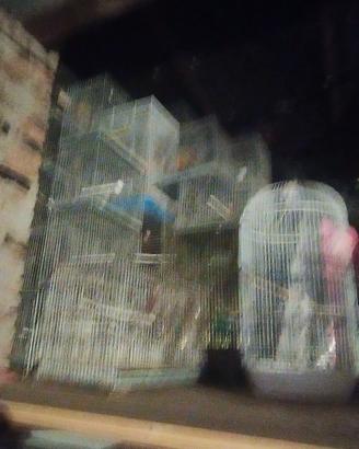 Gabbie per canarini e pappagalli.