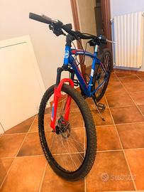 Bicicletta Coppi 29