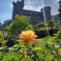 Appartamento in Castello sul Lago Maggiore