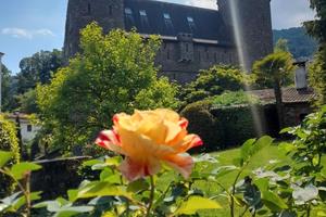 Appartamento in Castello sul Lago Maggiore