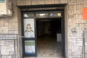 Colli aminei