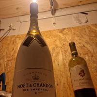 LAMPADA-BOTTIGLIA (MOET 1.5 lt)